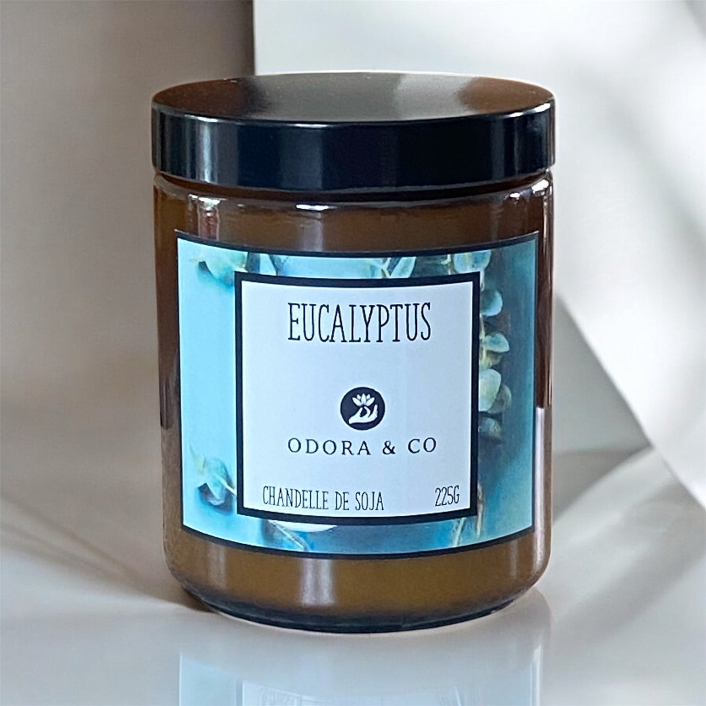 Chandelle - Eucalyptus Globulus