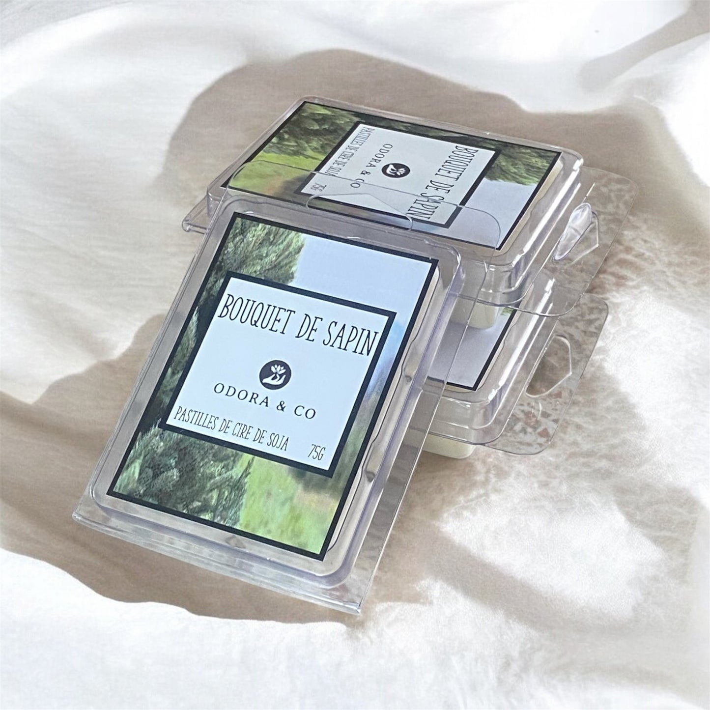 Pastilles de Cire - Eucalyptus et Pin Blanc
