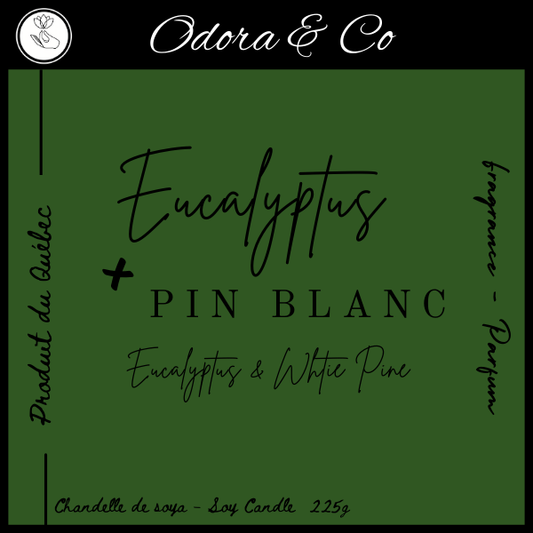 Chandelle - Eucalyptus et Pin Blanc