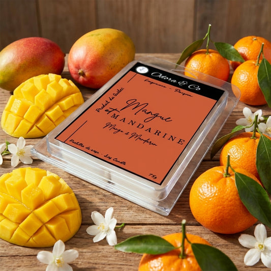 Pastilles de Cire - Mangue et Mandarine