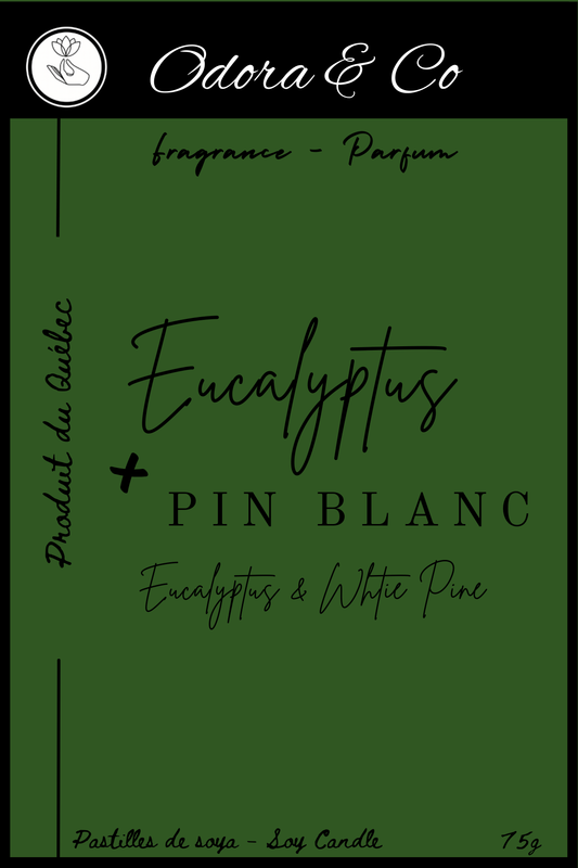Pastilles de Cire - Eucalyptus et Pin Blanc
