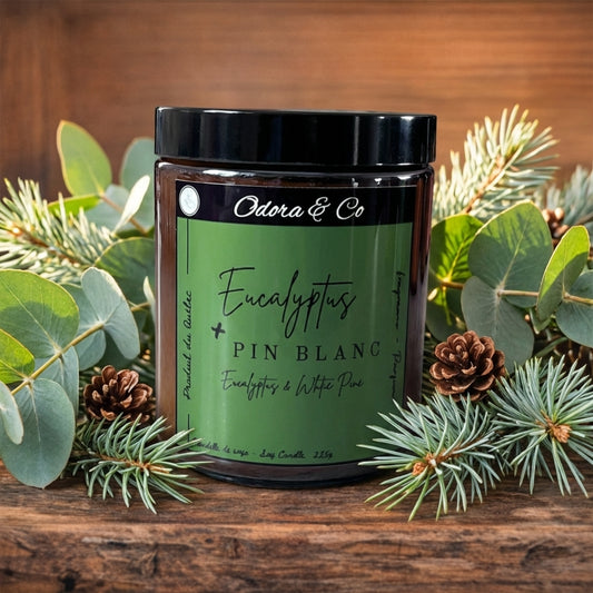 Chandelle - Eucalyptus et Pin Blanc