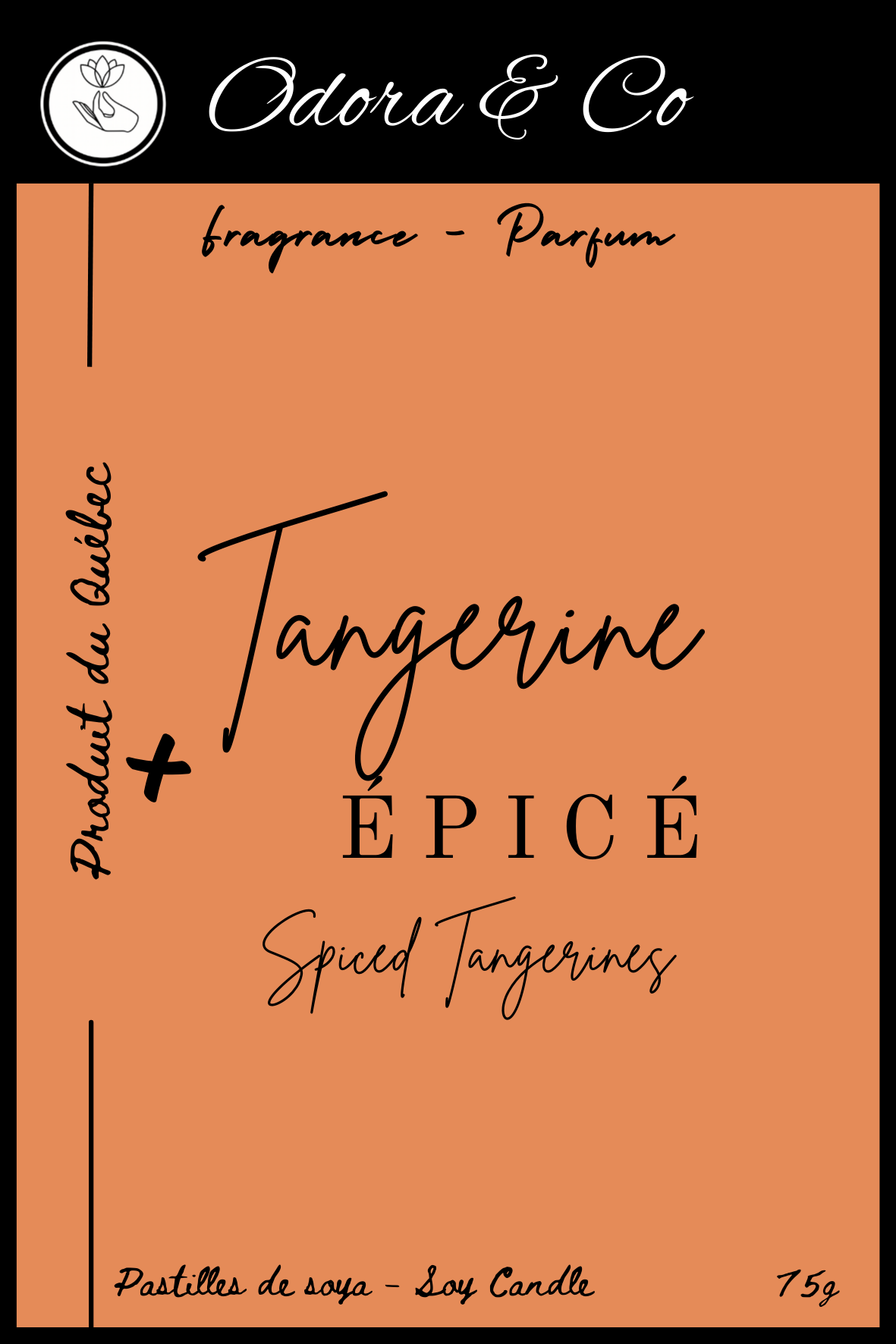 Pastilles de Cire - Tangerine Épicé