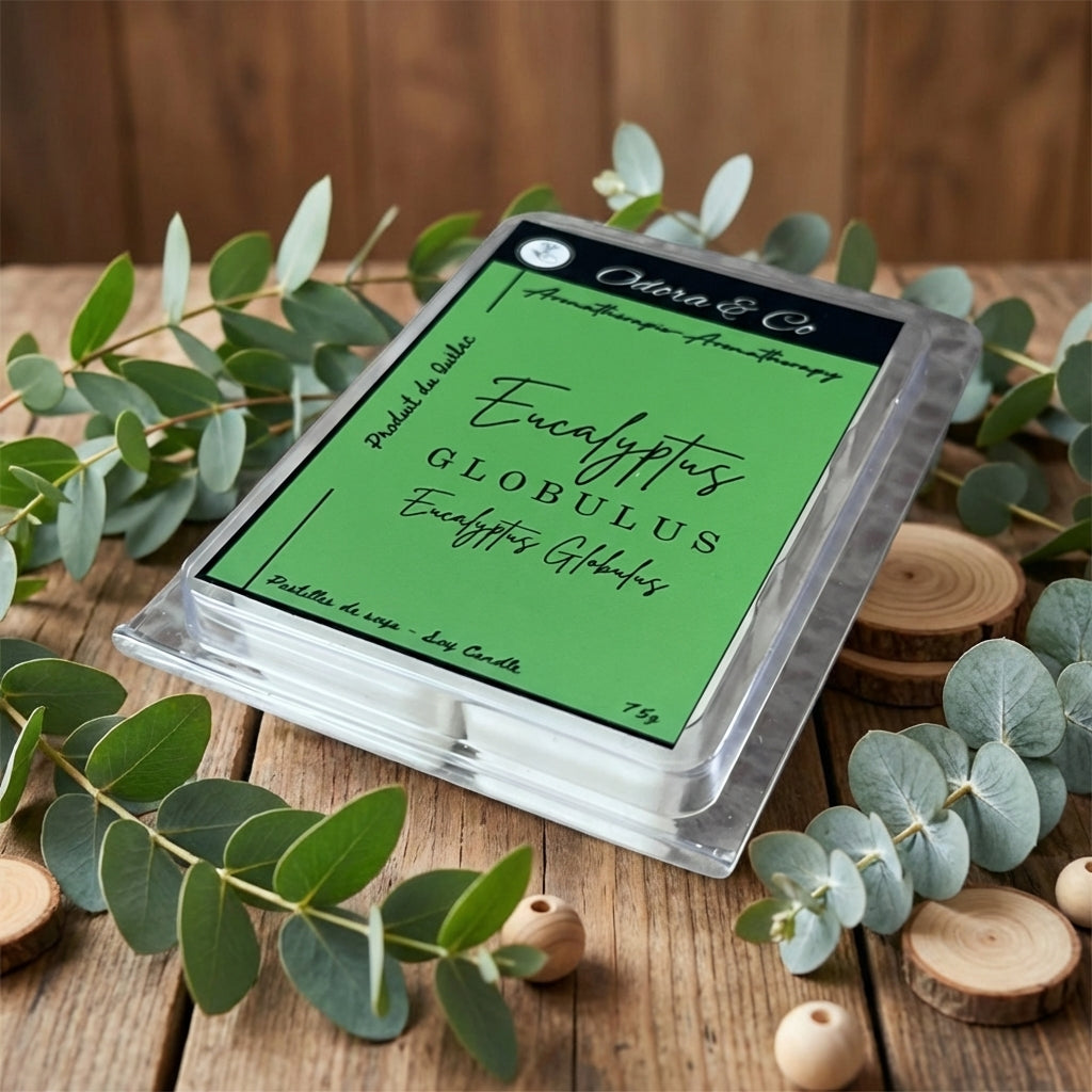 Pastilles de Cire  - Eucalyptus Globulus