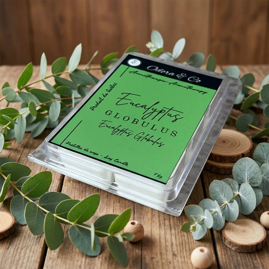 Pastilles de Cire  - Eucalyptus Globulus