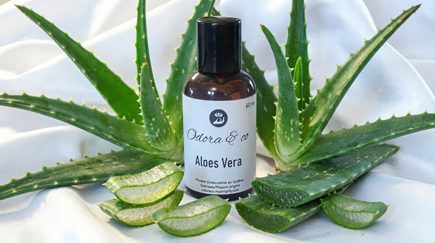 Odora - Aloes Vera